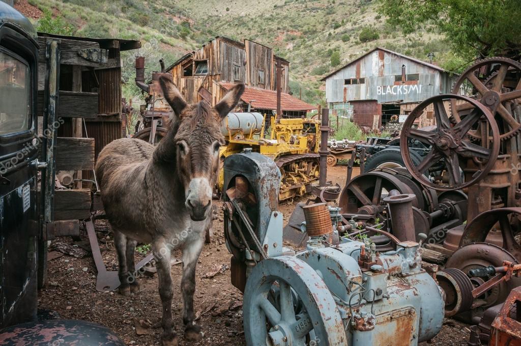 Moinho de Vento Com Burro