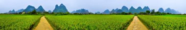 Yangshuo 360 derece kentsel ricefields, karstik dağ landscap