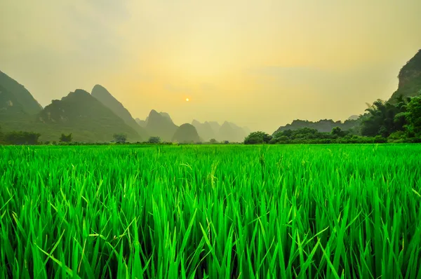 China landschap in yangshuo guilin — Stockfoto