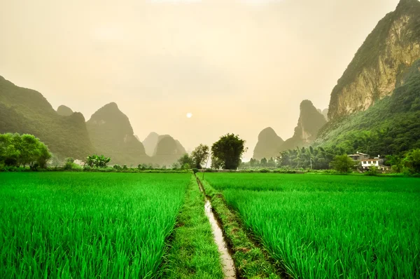 Li paisagem da montanha do rio em Yangshuo ricefield — Fotografia de Stock