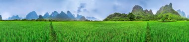 Yangshuo kentsel ricefields, karstik dağ manzarası, guilin, 