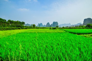 yangshuo guilin li Nehri Dağ mavi gökyüzü manzara