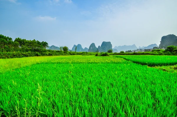 Li rivier berg blauwe hemel landschap in yangshuo guilin — Stockfoto