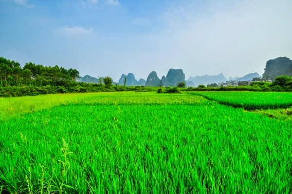 Yangshuo guilin li Nehri Dağ mavi gökyüzü manzara — Stok fotoğraf