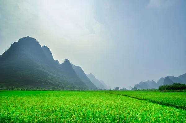 Li krajobraz w yangshuo guilin — Zdjęcie stockowe