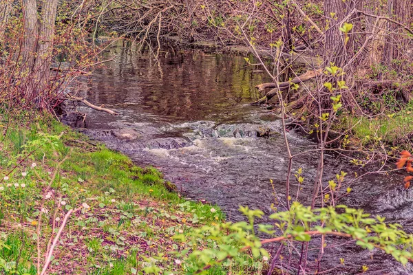 Potok Zalesněné Oblasti Kanadském Ontariu Plný Vody Taveného Sněhu Odrazy — Stock fotografie