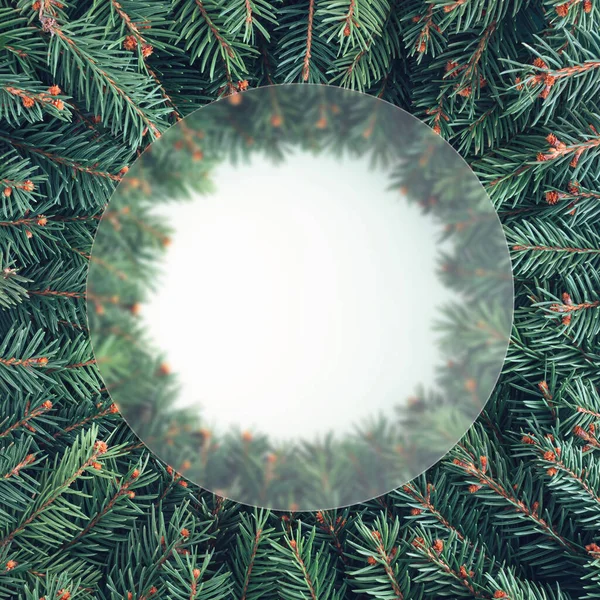 2022 Naturlig Vinter Nyår Cirkulär Ram Vintergröna Gran Grenar Isolerade — Stockfoto