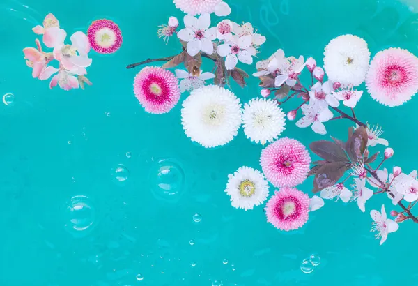 Wiosna Lato Scena Różowymi Białymi Kwiatami Pełnym Rozkwicie Które Pływają — Zdjęcie stockowe