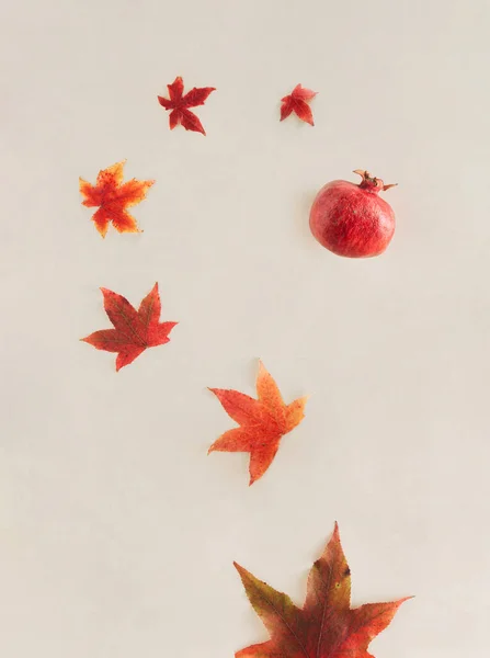 Naturalny Jesienny Wzór Liści Kolorowych Żółtych Czerwonych Zielonych Liści Granatu — Zdjęcie stockowe