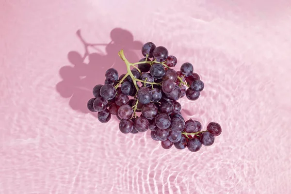 Black Muscat Grapes Stand Water Pastel Pink Purple Background Natural — Zdjęcie stockowe