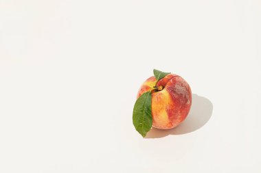 İzole edilmiş pastel bej arka planda yeşil yapraklı, portakal sarısı taze, olgun şeftaliden yapılmış en az yaz meyvesi deseni. Bitki dokusu. Güneş ve gölgeler. Organik, sağlıklı, çiğ gıda vejetaryen konsepti.