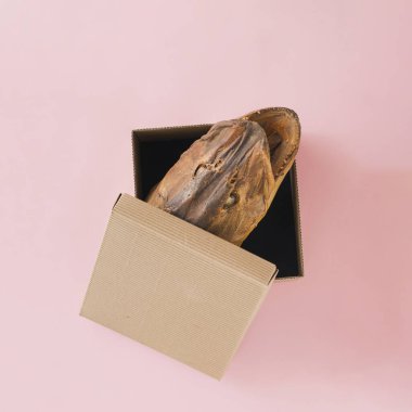 Keskin dişleri olan turna balığının başı pastel bej-pembe arka plandaki açık karton kutudan fırlamış. Asgari yaratıcı soyut gerçeküstü saldırganlık kavramı. Balık kartı. Sürpriz hediye fikri..