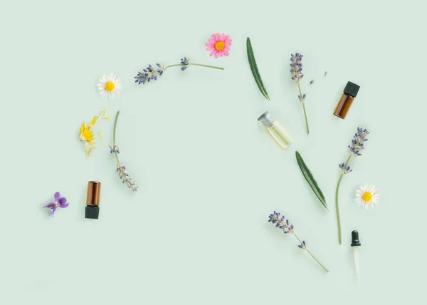 Wiosna Lub Lato Aromaterapia Kwiatowa Koncepcja Rośliny Kosmetyczne Butelki Olejków — Zdjęcie stockowe