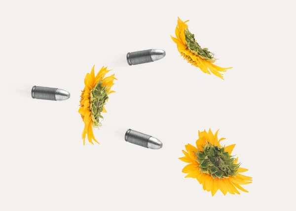 Bullets fired into beautiful yellow sunflowers in full bloom floating on pastel beige background. Creative peaceful concept, symbol of innocent victims of war. Stop the aggression.