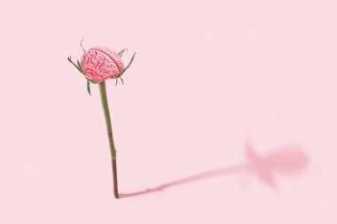Rose stem with human brain on isolated pastel pink background. Abstract surreal scary concept of Halloween or Santa Muerte, or the idea of intellectual progress, creativity or development.