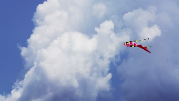 Drachen fliegen in Wolken. — Stockvideo