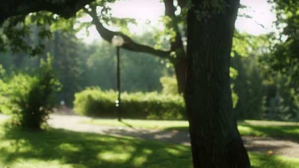 Girl doing Yoga in Park. Jib Shot. — Stock Video