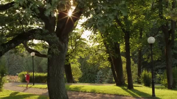 Söt flicka kör i parken vid solnedgång. armen sköt. — Stockvideo