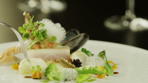 Plat délicieux avec filet de poisson et huîtres — Video