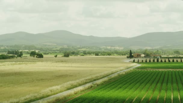 Coches Conduciendo a través de la carretera en el campo. Montañas en el fondo . — Vídeo de stock