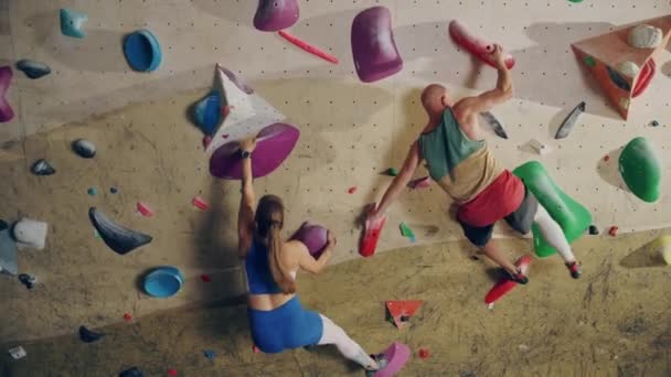 Dos atletas practican en el muro de escalada interior — Vídeos de Stock