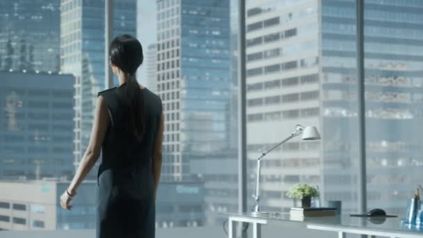 Ofis Penceresindeki İş Kadını — Stok video