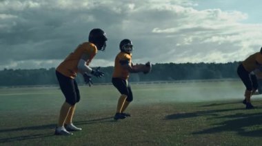 Amerikan Futbolunda Profesyoneller