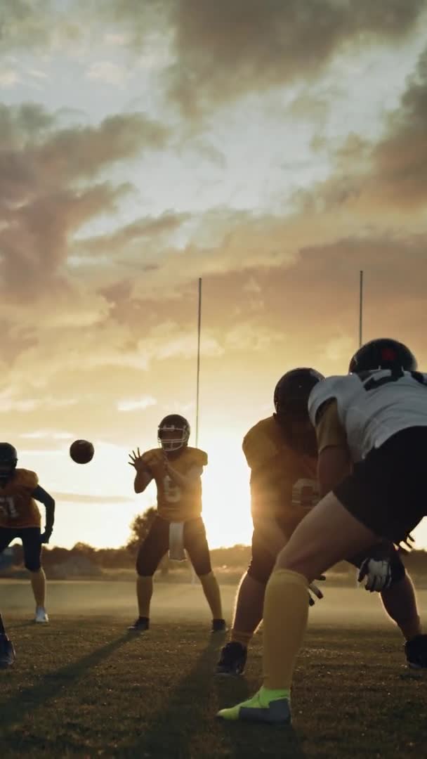 Pantalla vertical Juego de fútbol americano — Vídeos de Stock