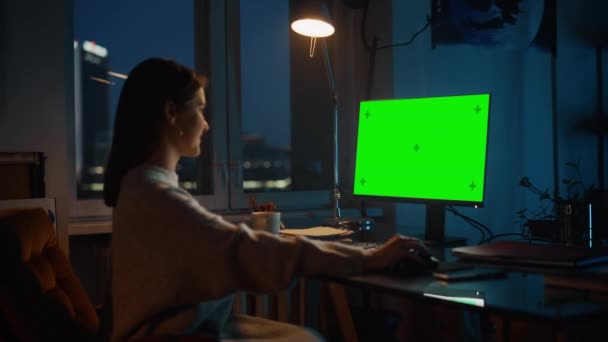 Spécialiste travaillant sur ordinateur avec écran vert — Video