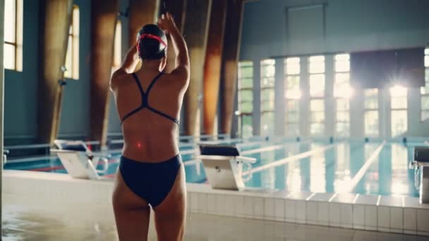 Professionella kvinnliga simmare hoppar in i poolen — Stockvideo