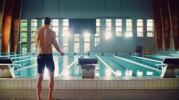 Профессиональный пловец прыгает в бассейн — стоковое видео