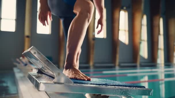 Профессиональный пловец прыгает в бассейн — стоковое видео