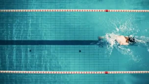 Nadador de arriba hacia abajo en la piscina — Vídeos de Stock