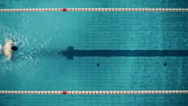 Top Down nageur dans la piscine — Video