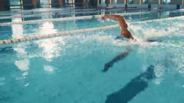 Nadador en la piscina — Vídeos de Stock