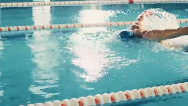 Nadador en la piscina — Vídeo de stock