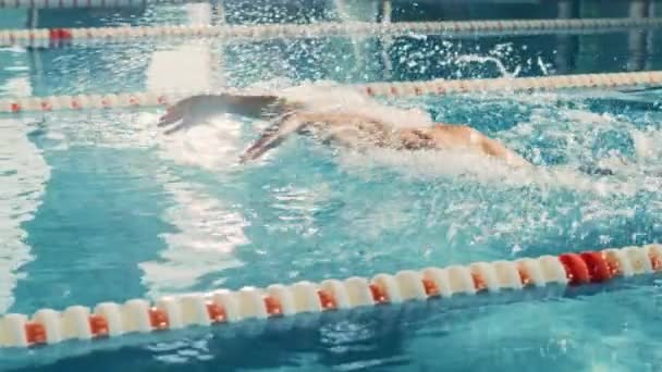Nadador en la piscina — Vídeos de Stock