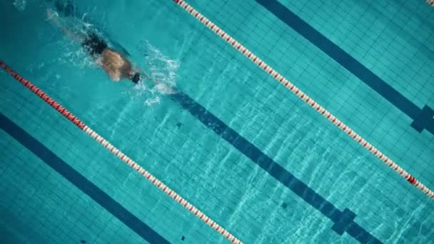 Haut vers le bas nageur masculin saute dans la piscine — Video