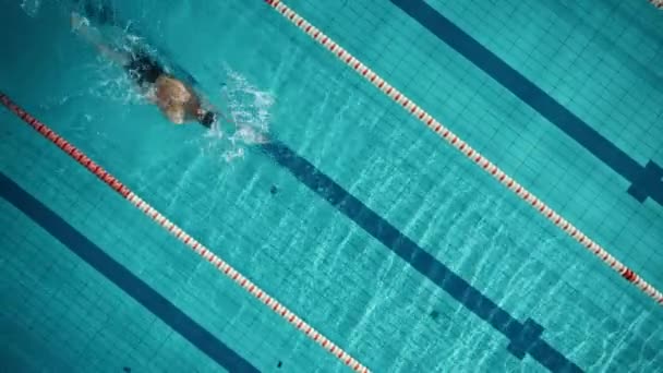 Top Down nadador masculino salta a la piscina — Vídeo de stock