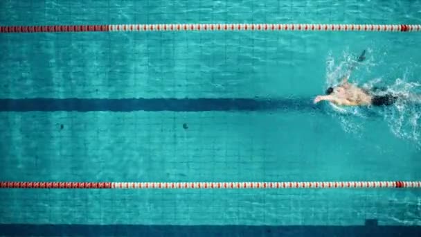 Top Down masculino nadador Salta para a piscina — Vídeo de Stock