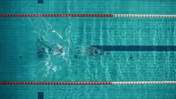 Top Down nadador masculino salta a la piscina — Vídeo de stock