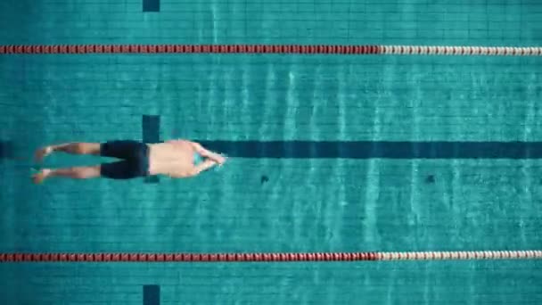 Top Down male swimmer in Pool — Stock Video
