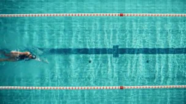 수영장에서 수영하는 일류 여성 수영 선수 — 비디오