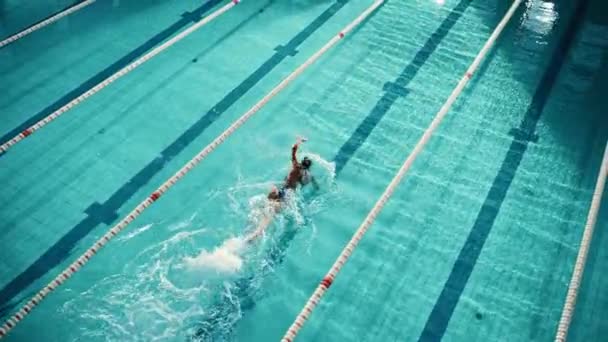 Femme nageuse dans la piscine — Video