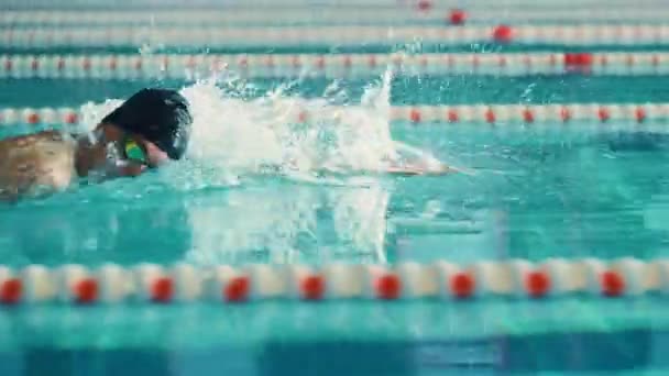 Mand svømmer i swimmingpool – Stock-video