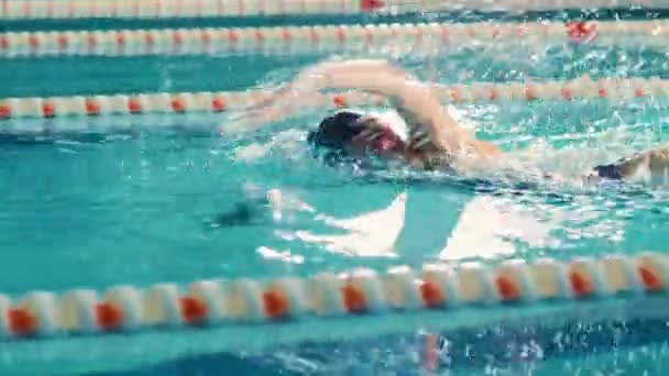 Nadadora femenina en piscina — Vídeo de stock