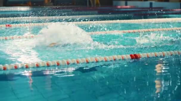 Nadador masculino en la piscina — Vídeos de Stock