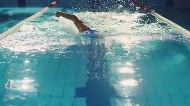 Nadador masculino en la piscina — Vídeos de Stock