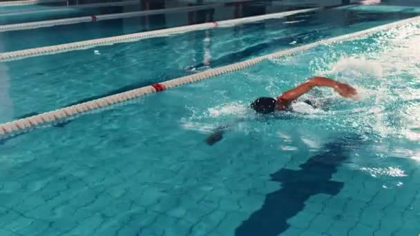 Nadadora femenina en piscina — Vídeo de stock