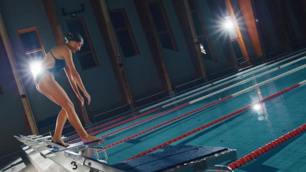 Nuotatrice in piscina femminile — Video Stock
